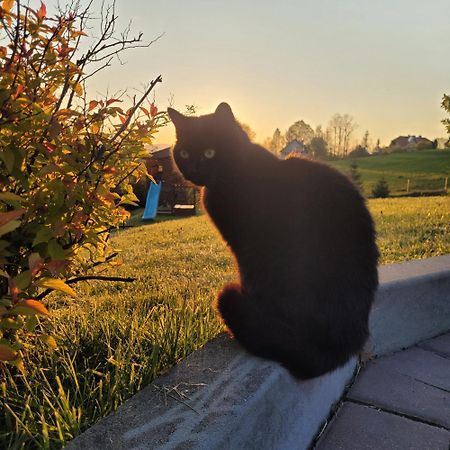 Vila Domki pod lasem Rokiciny Podhalanskie Exteriér fotografie