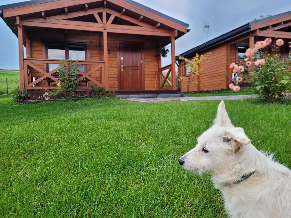 Vila Domki pod lasem Rokiciny Podhalanskie Exteriér fotografie