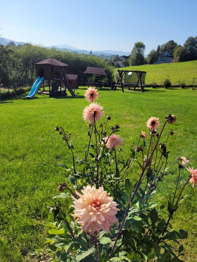 Vila Domki pod lasem Rokiciny Podhalanskie Exteriér fotografie