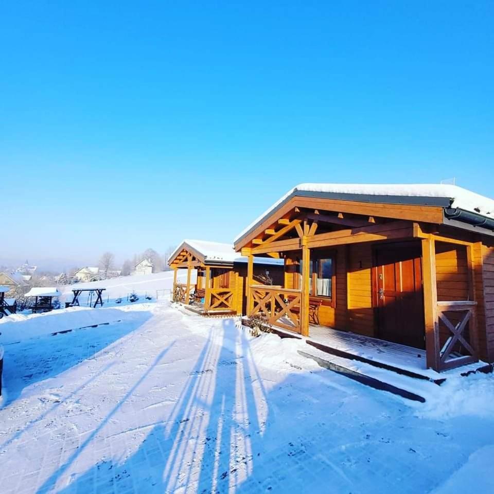 Vila Domki pod lasem Rokiciny Podhalanskie Exteriér fotografie