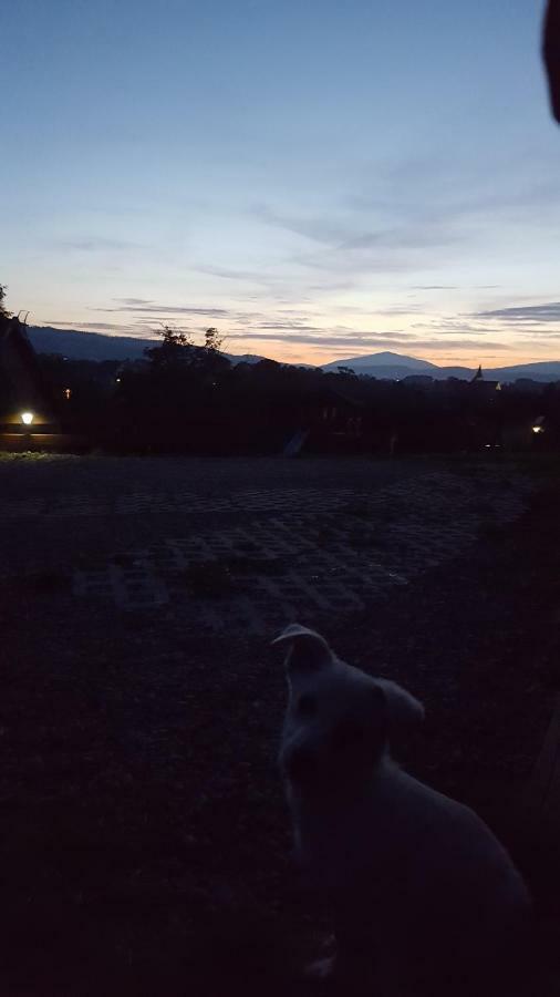 Vila Domki pod lasem Rokiciny Podhalanskie Exteriér fotografie